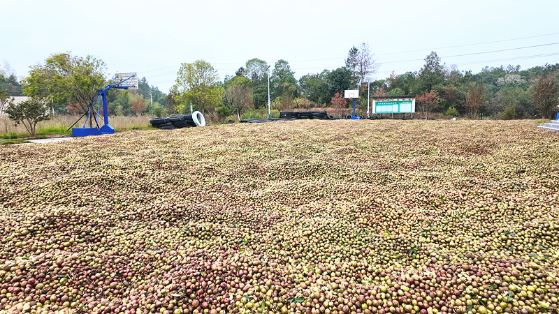 悾SrIͲMɽh Sղժæ